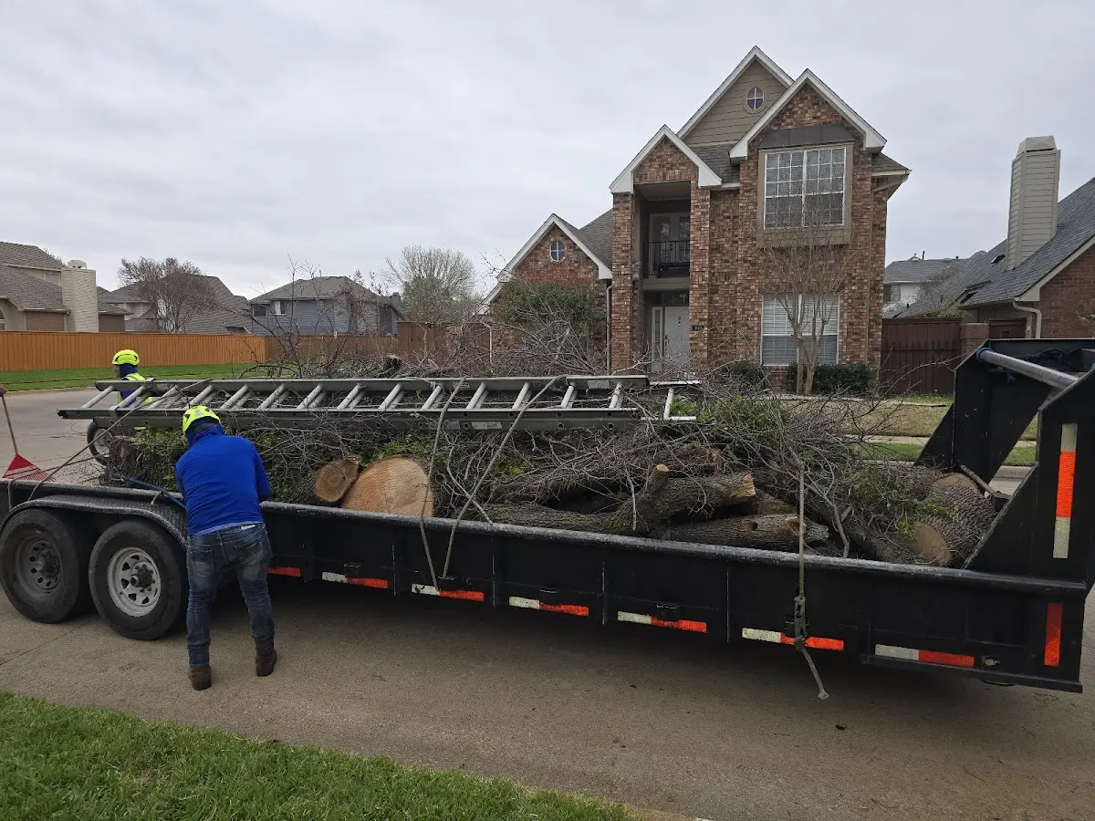 Expert Lot Clearing with proper safety equipment in Lithia